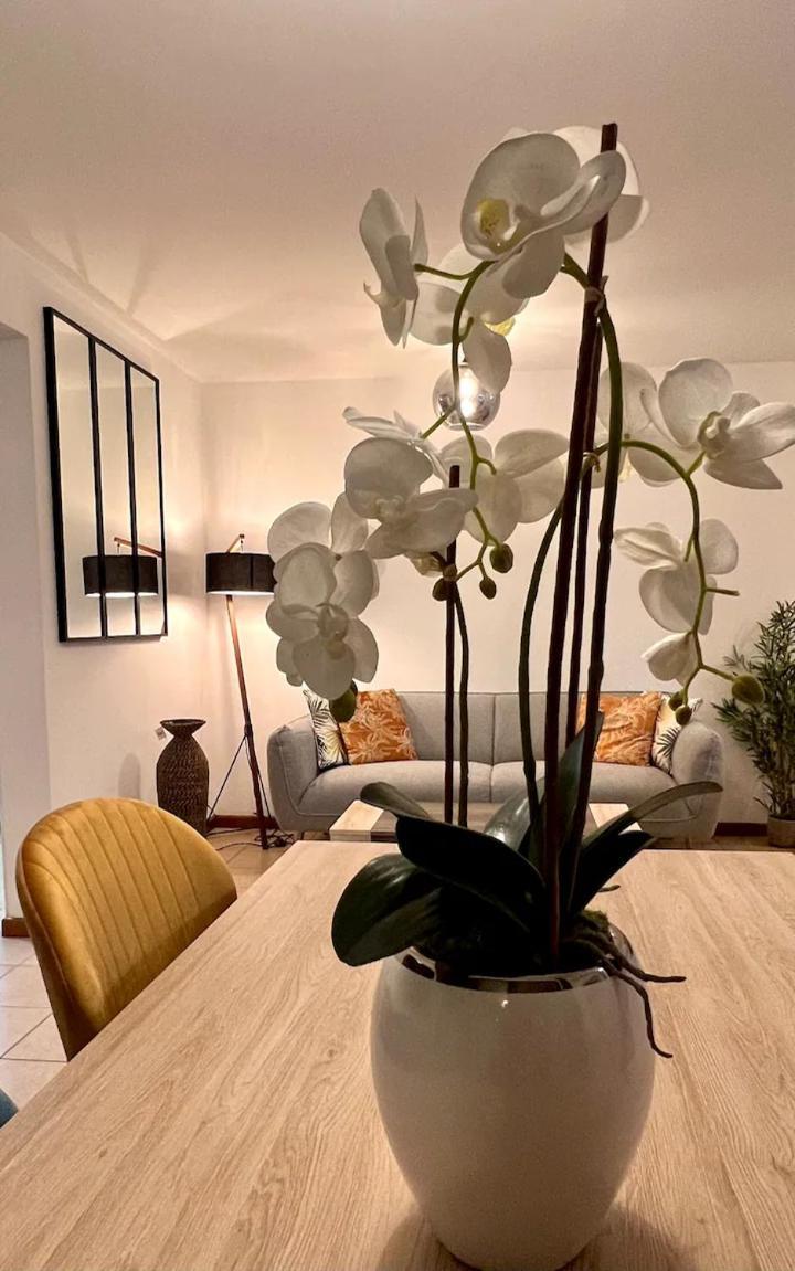 Appartement Chez Gerard à Saint Pierre Extérieur photo
